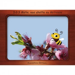kamishibai S.O.S Mélie, une abeille en détresse