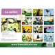 Kamishibaï Le colibri